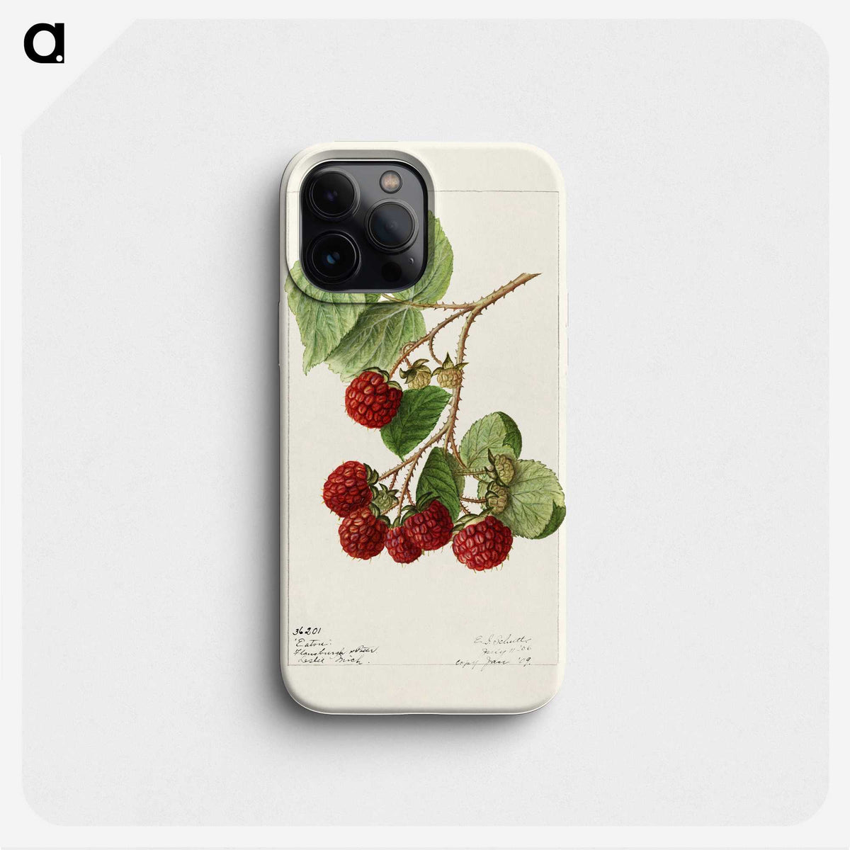 1-33_USDA-Watercolor-Fruit-Painting-Collection_phone