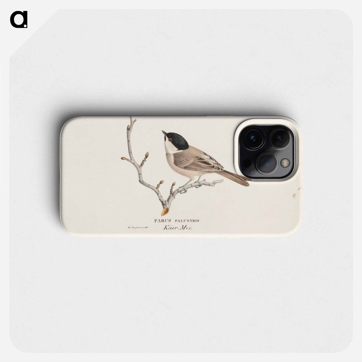 Marsh tit - Wilhelm von Wright Phone Case.