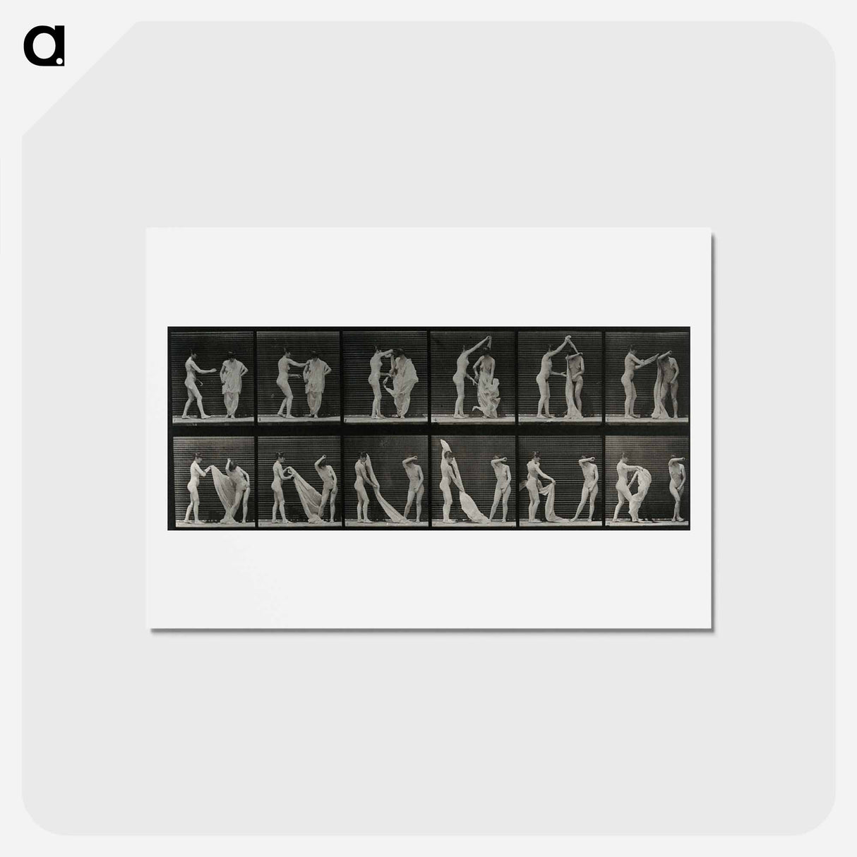 アートポストカード-Undressing
- エドワード マイブリッジ Postcard.