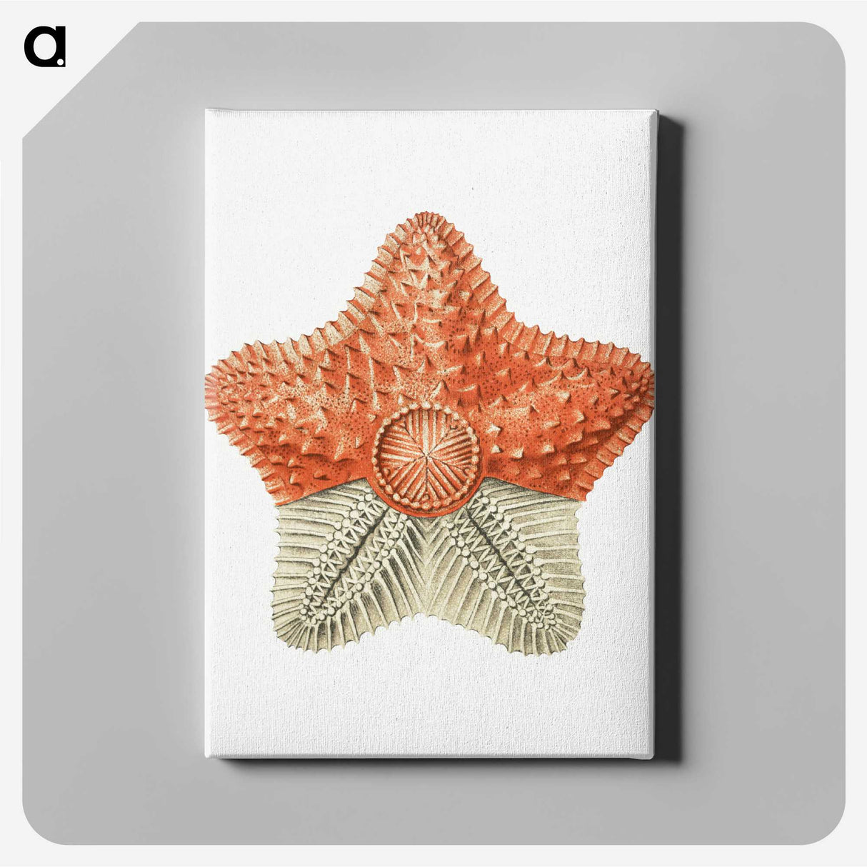 1-34_Ernst-Haeckel_canvas