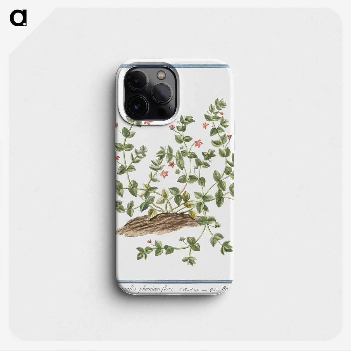 1-34_Hortus-Romanus-Botanical-Plates_phone