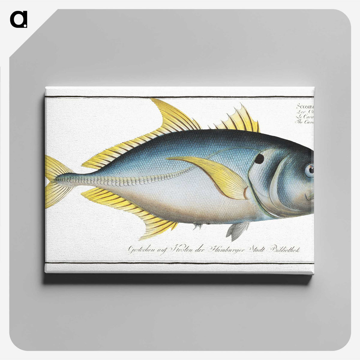 1-34_Ichtyologie-ou-Histoire-naturelle_canvas
