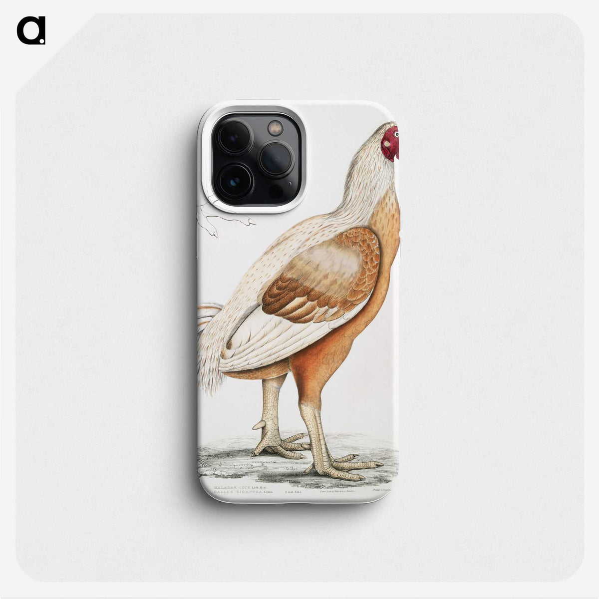 1-34_Indian-Zoology_phone
