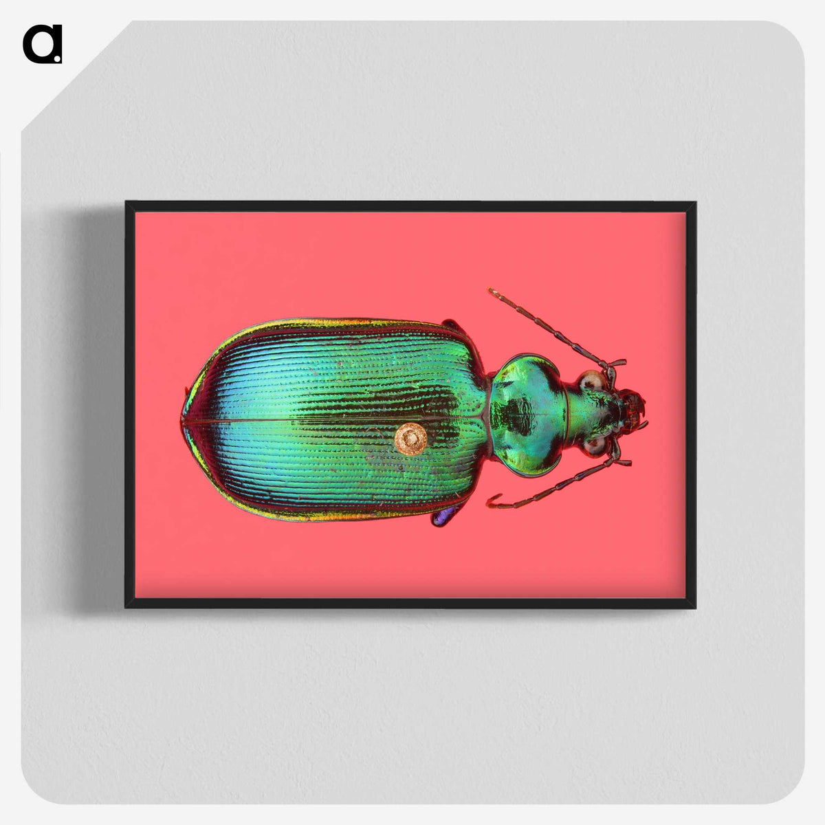 1-34_Insects-Unlocked-Project_blk-crop
