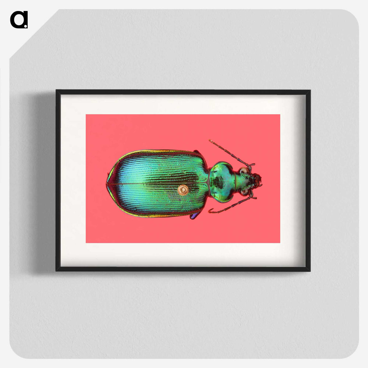 1-34_Insects-Unlocked-Project_blk