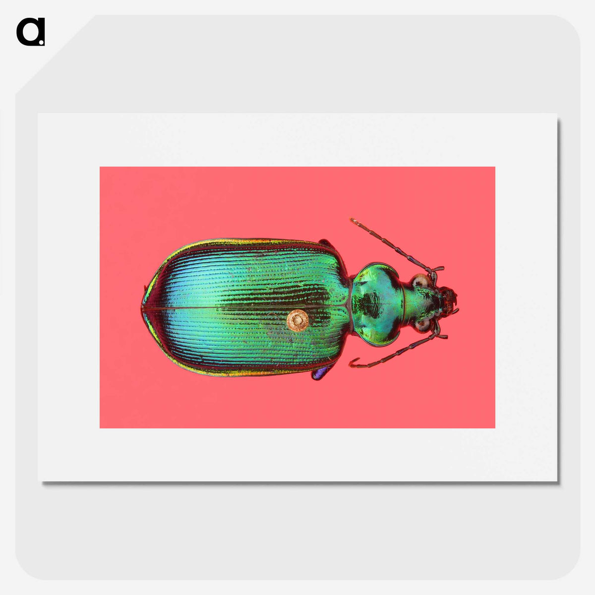 1-34_Insects-Unlocked-Project_picture