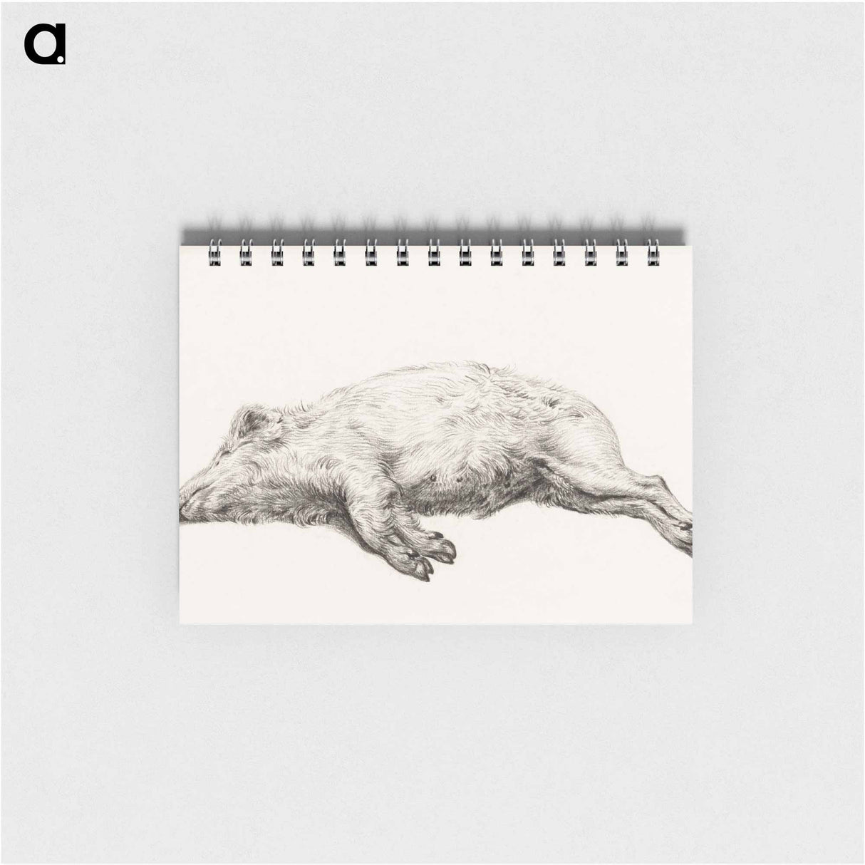 Lying pig - ジャン ベルナール Memo.