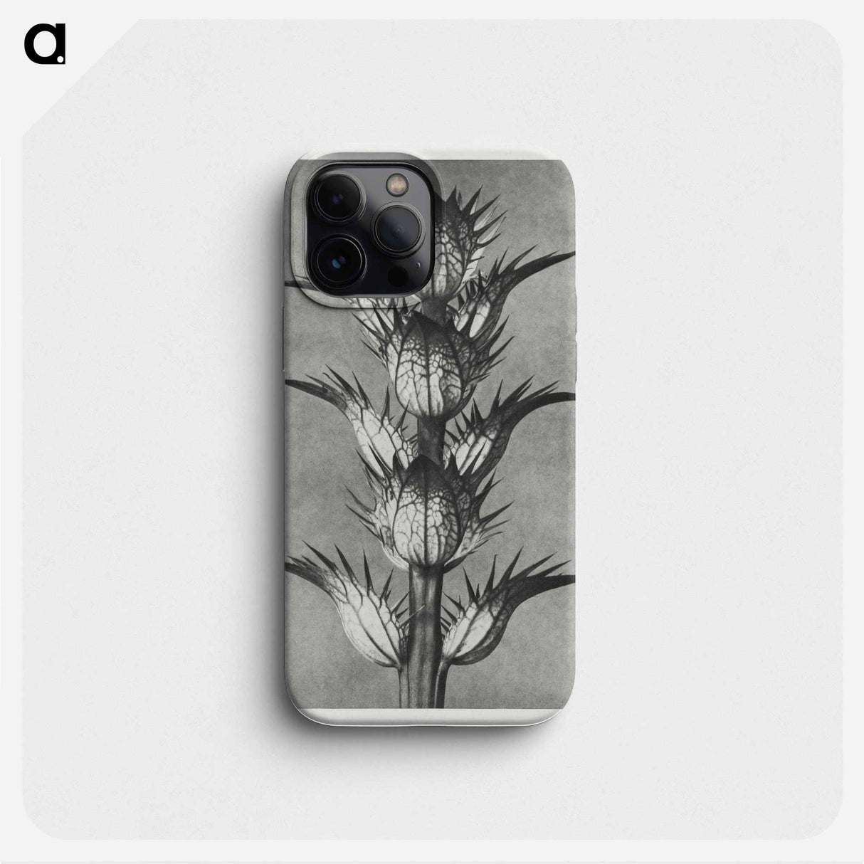Acanthus mollis - Karl Blossfeldt Phone Case.