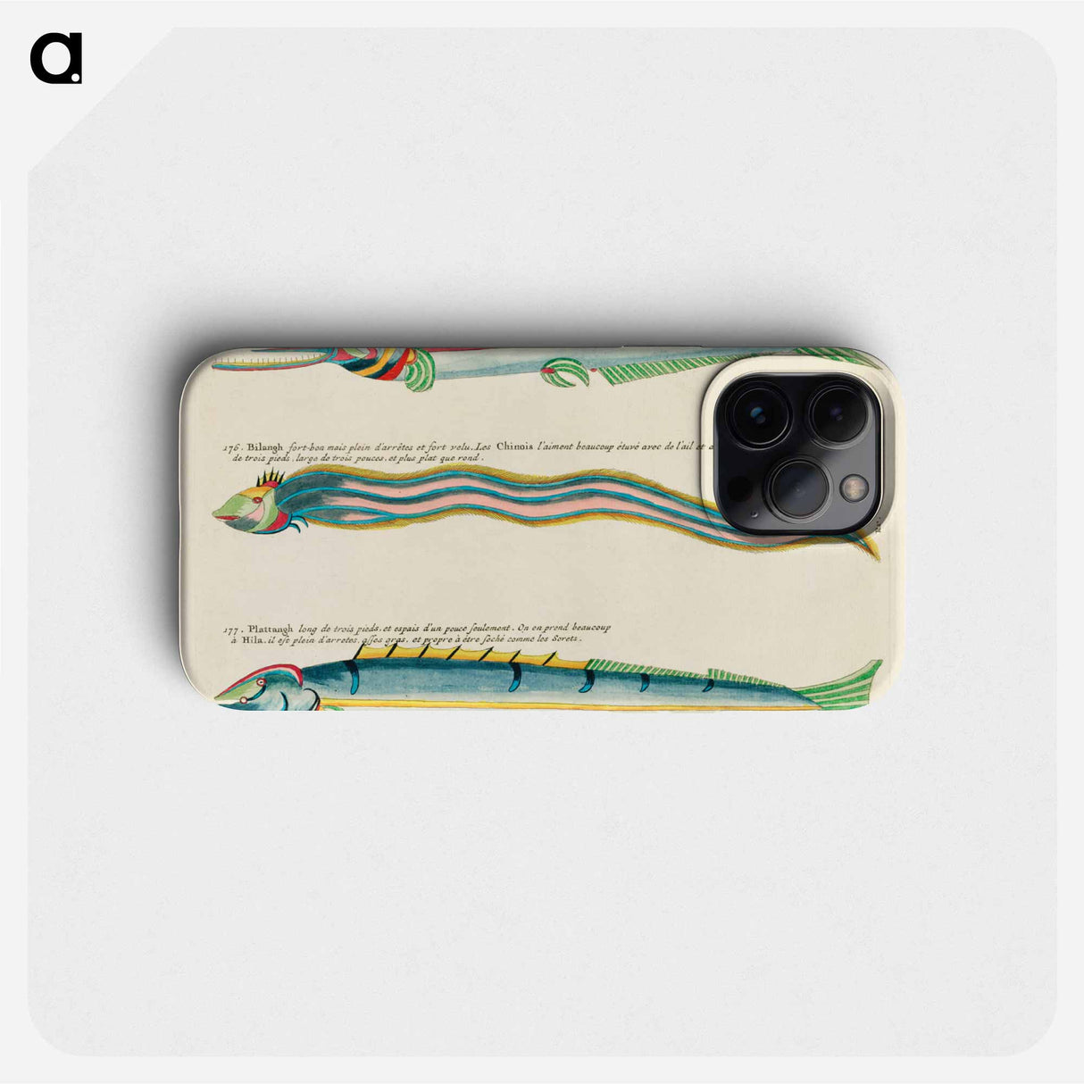 Moluccan Fishes
- ルイ ルナール Phone Case.
