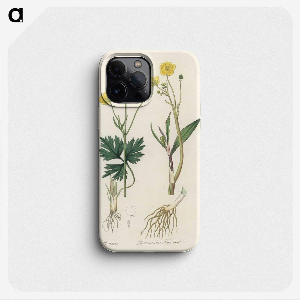 1-34_Medical-Botany_phone