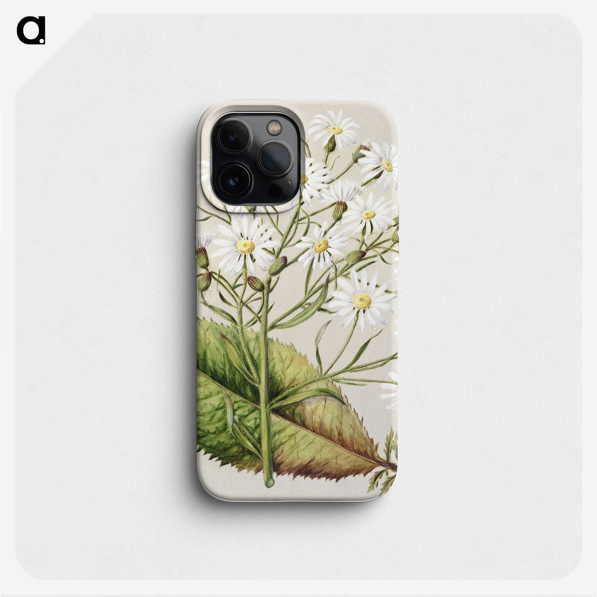 1-34_Native-Flowering-Plants-of-New-Zealand_phone