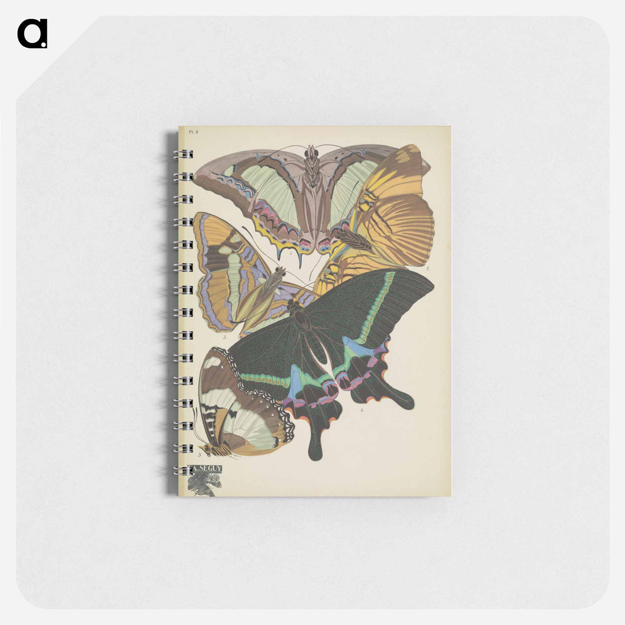 アートメモ帳-Vintage Butterflies
- パピヨン Memo.