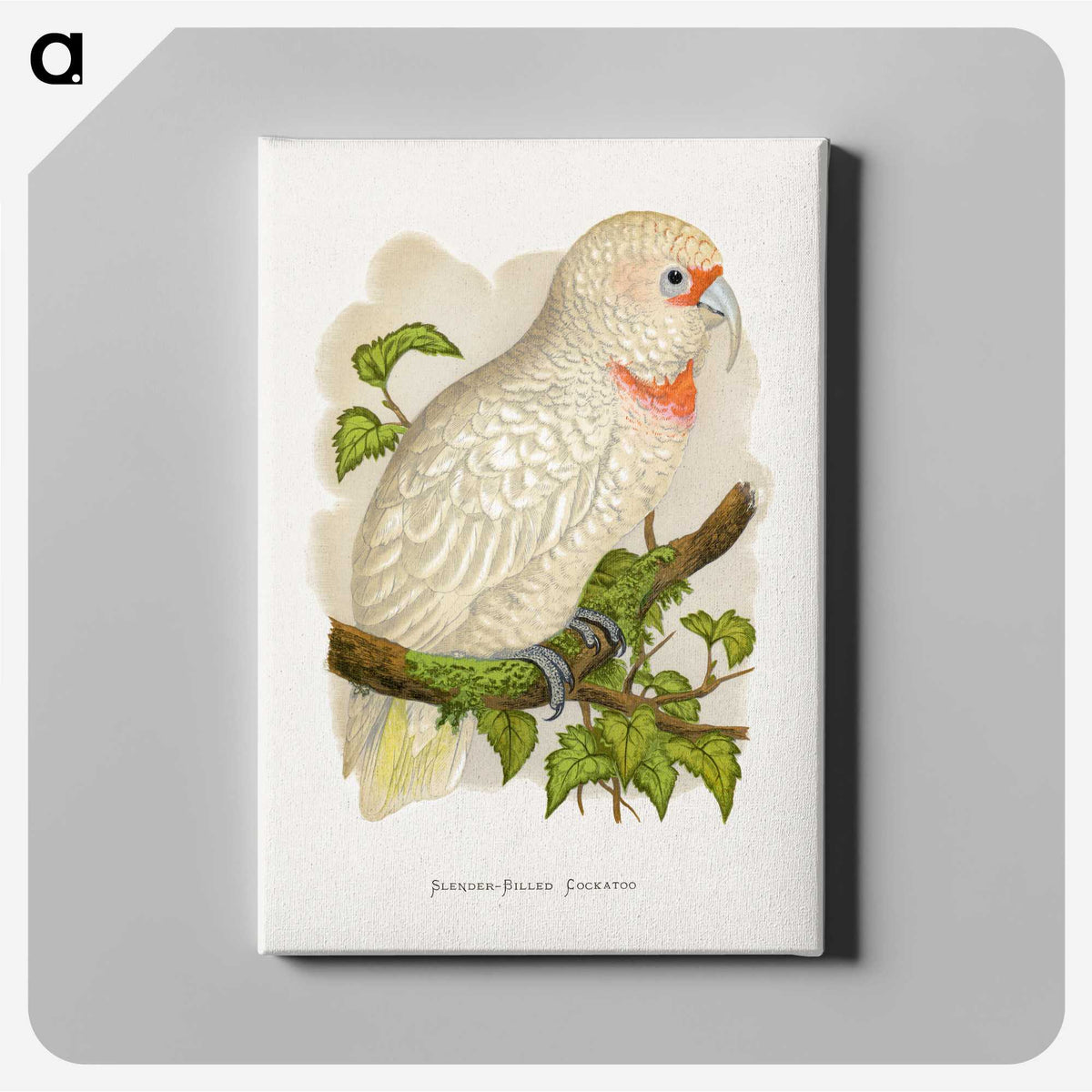 1-34_Parrots-in-Captivity_canvas