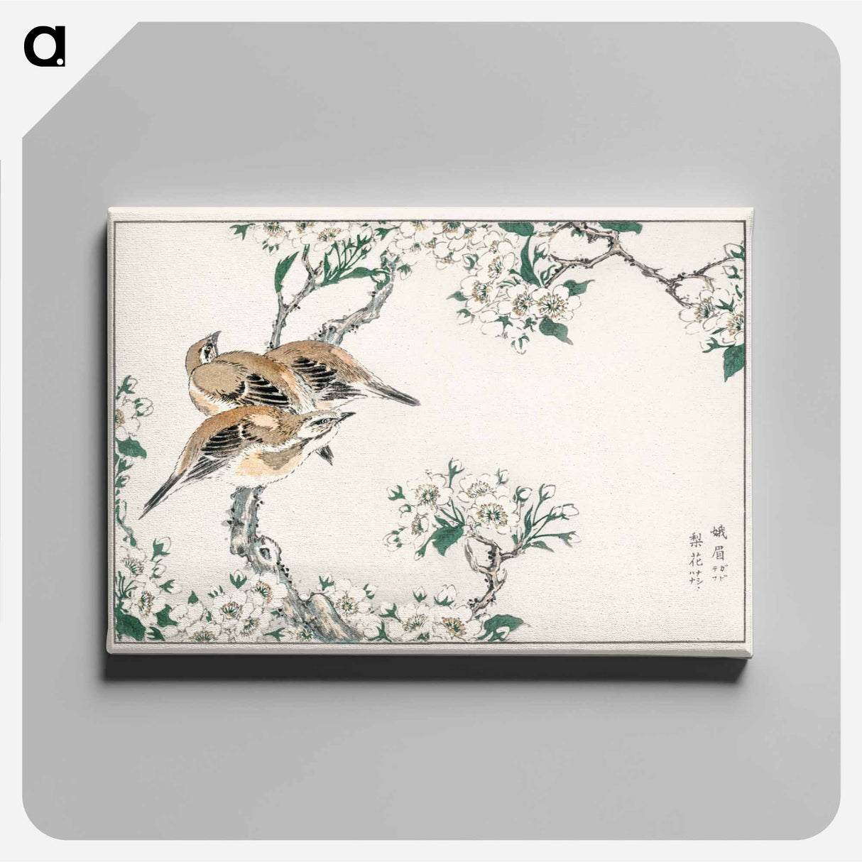 アートパネル-Japanese Meadow Bunting and Pear Flower
- 鳥類図鑑 Canvas.