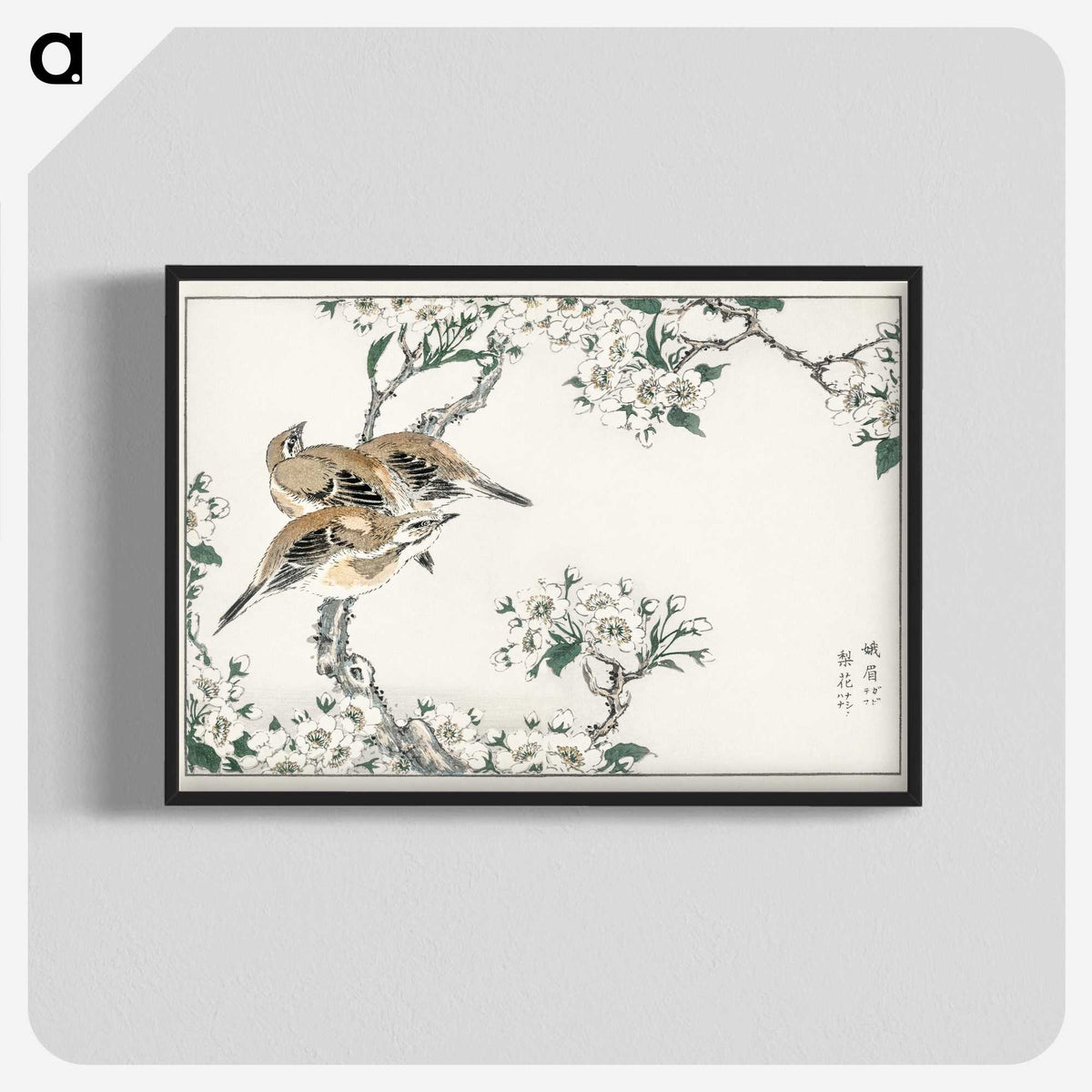 1-34_Pictorial-Monograph-of-Birds_blk-crop