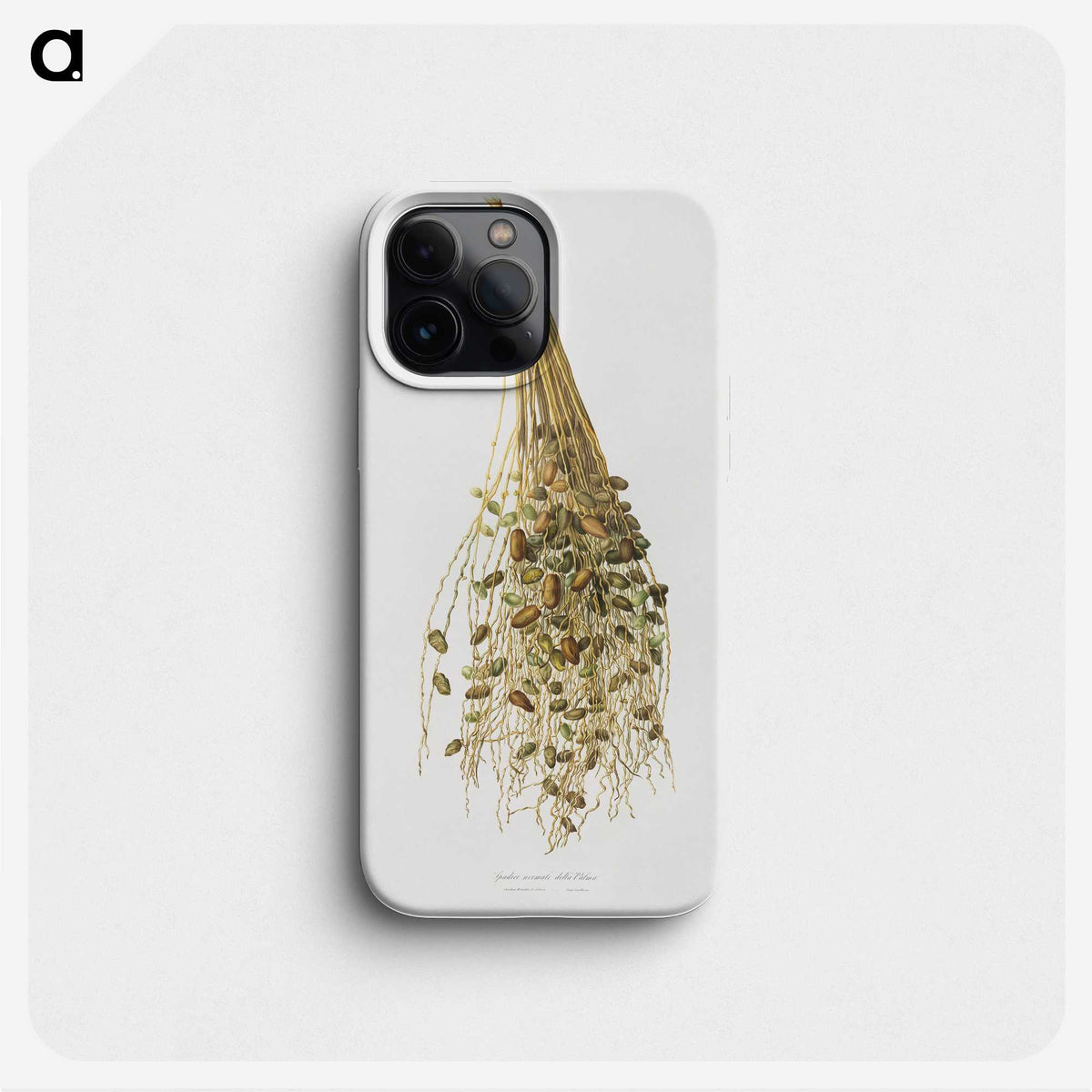 1-34_Pomona-Italiana_phone