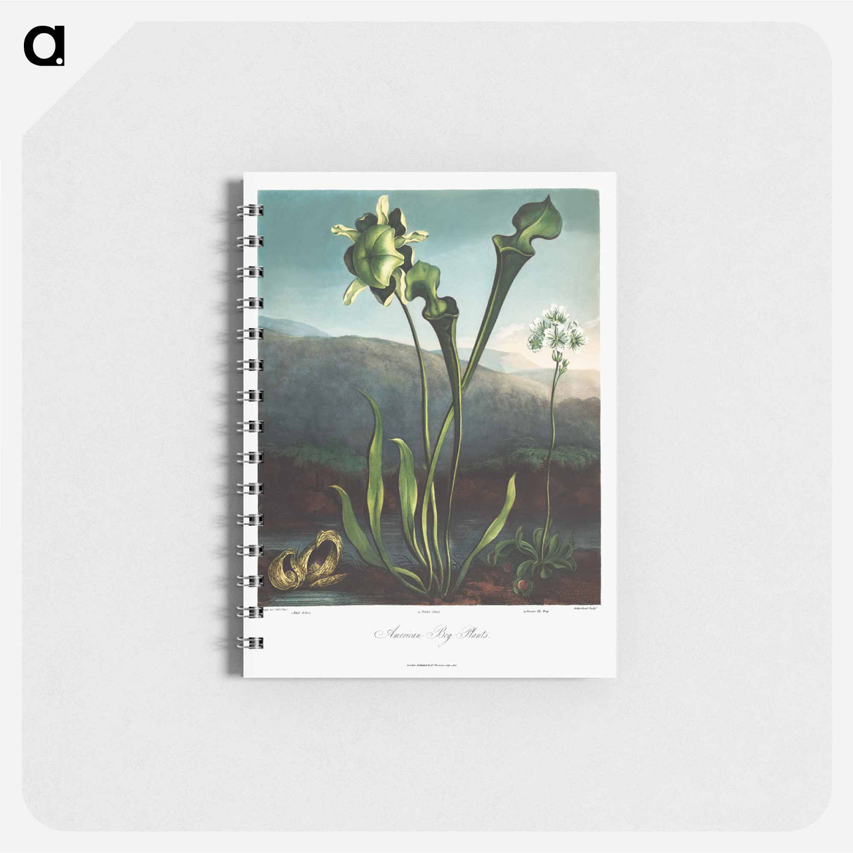 アートメモ帳-American Bog Plants
- ロバート ジョン ソーントン Memo.