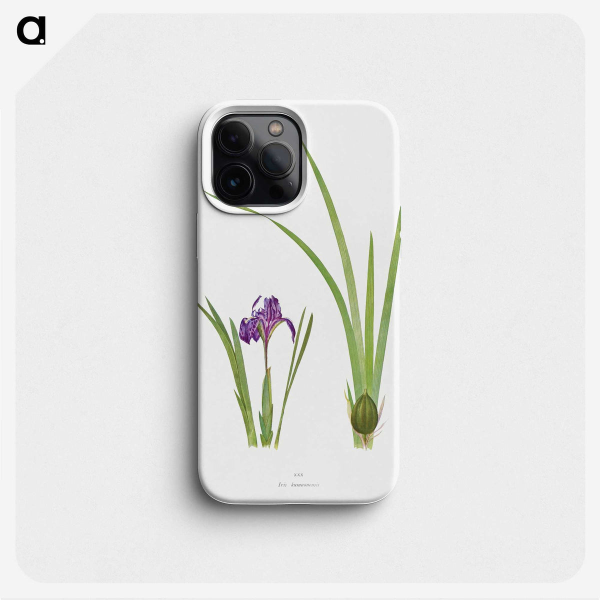 1-34_The-Genus-Iris_phone