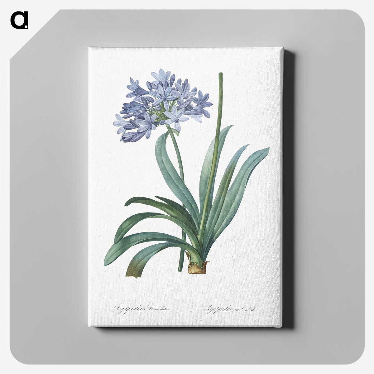 1-34_The-Lilies_canvas