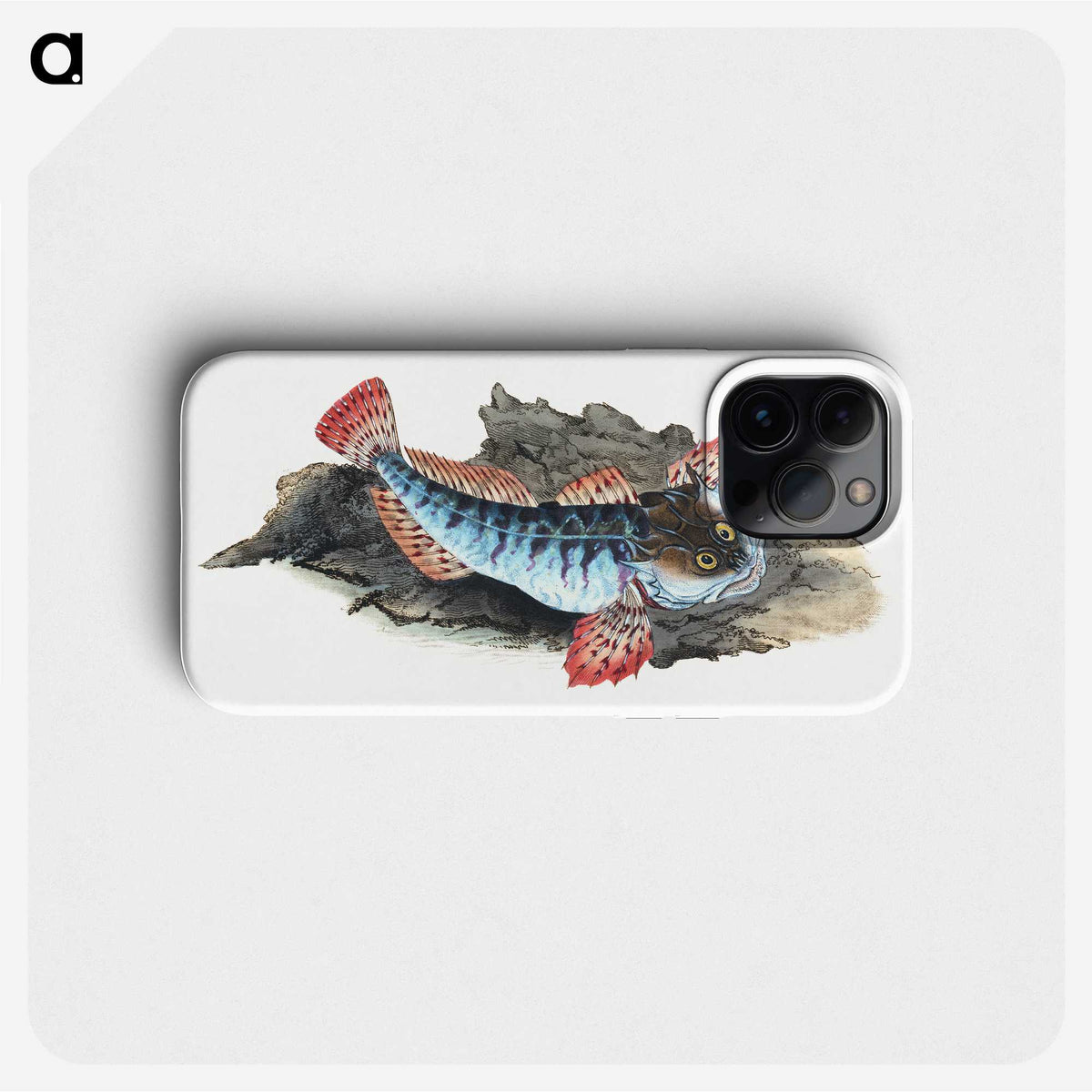 1-34_The-Natural-History-of-British-Fishes_phone