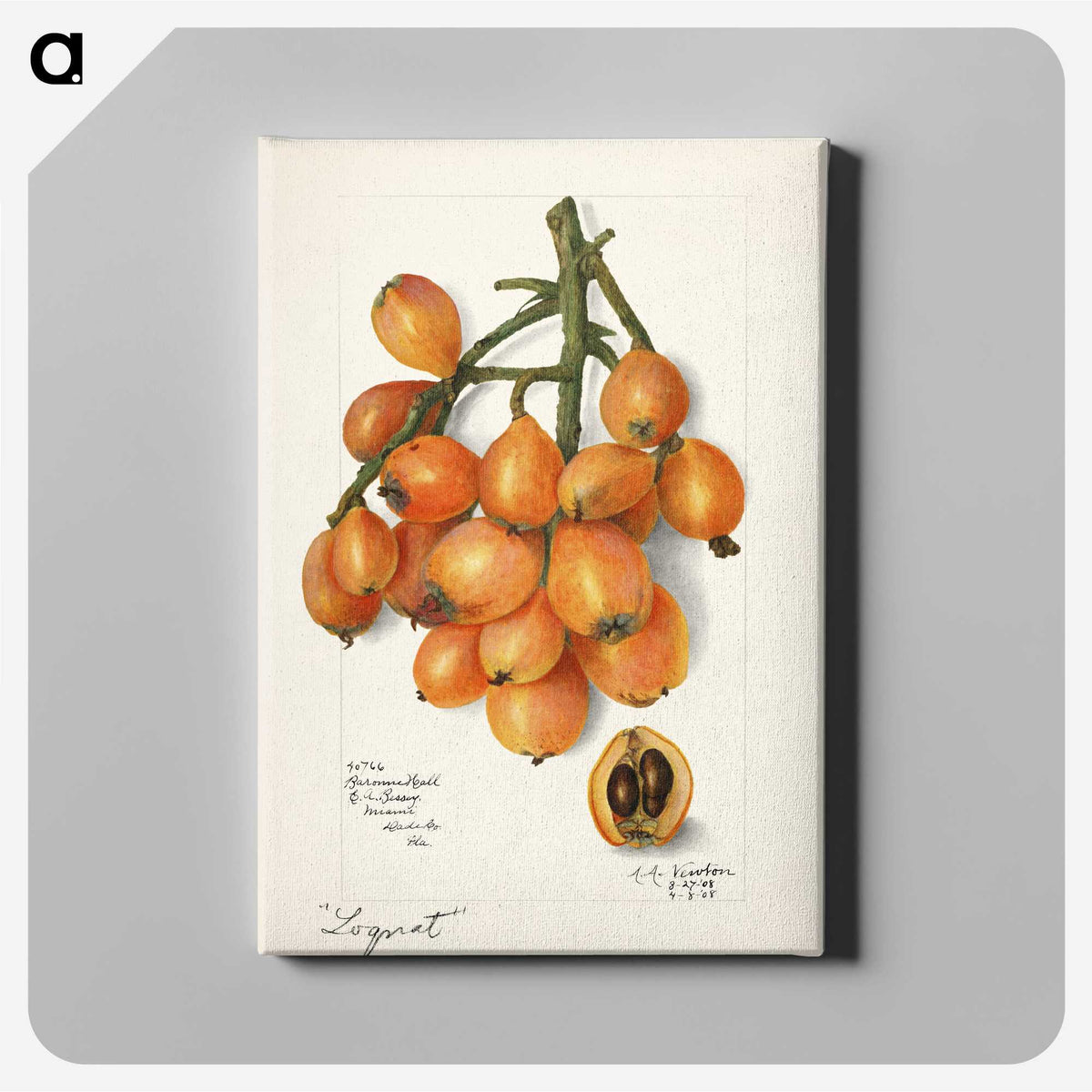 1-34_USDA-Watercolor-Fruit-Painting-Collection_canvas