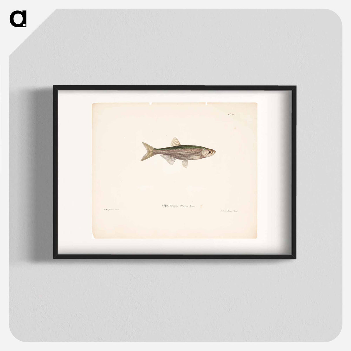 Bleak - ヴィルヘルム フォン ライト Poster.