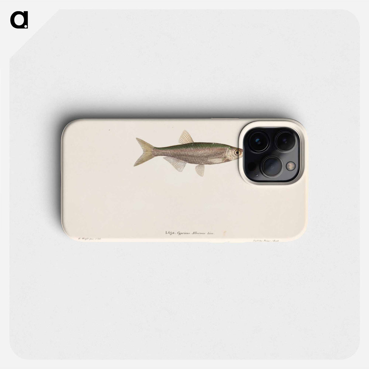 Bleak - Wilhelm von Wright Phone Case.