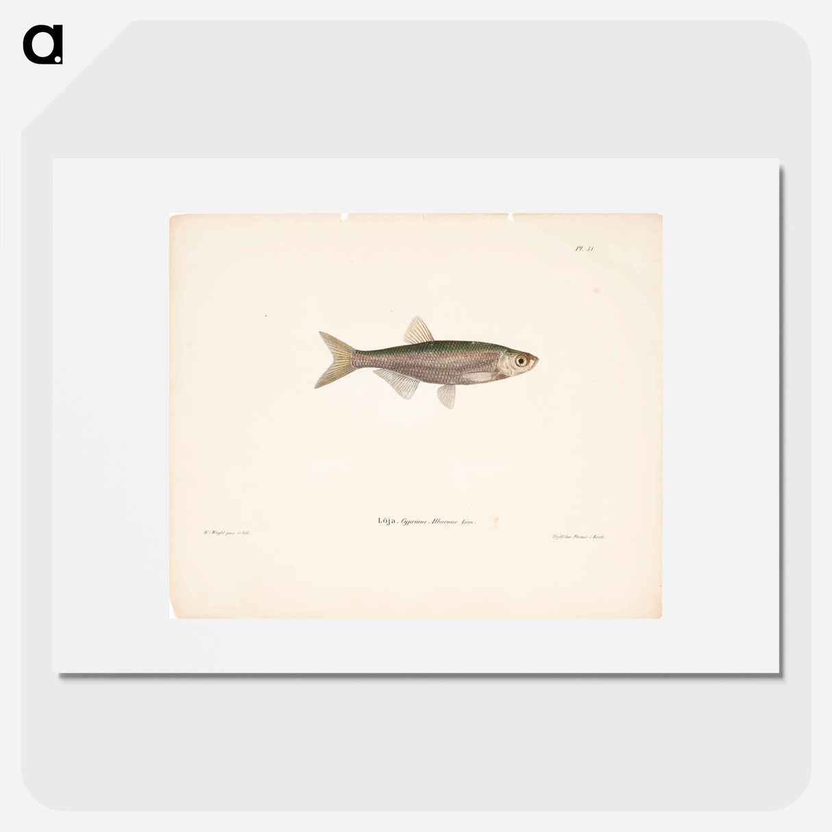 Bleak - ヴィルヘルム フォン ライト Poster.