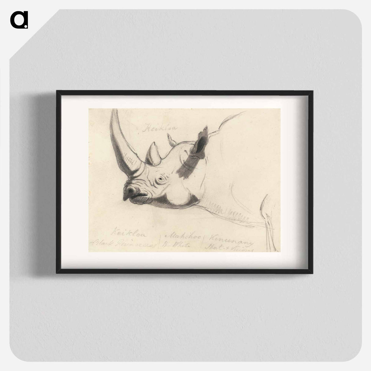 アートポスター-A Rhinoceros: Head and Shoulders, Facing Left
- イェール大学アートギャラリー Poster.