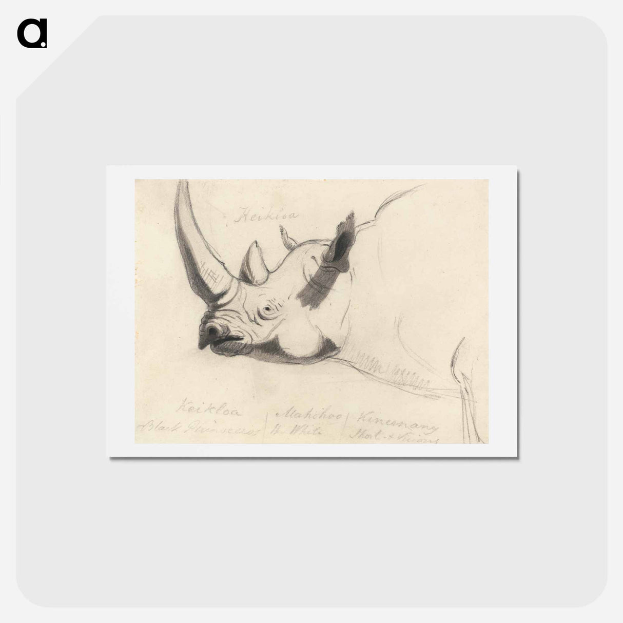 1-34_Yale-University-Art-Gallery_hagaki