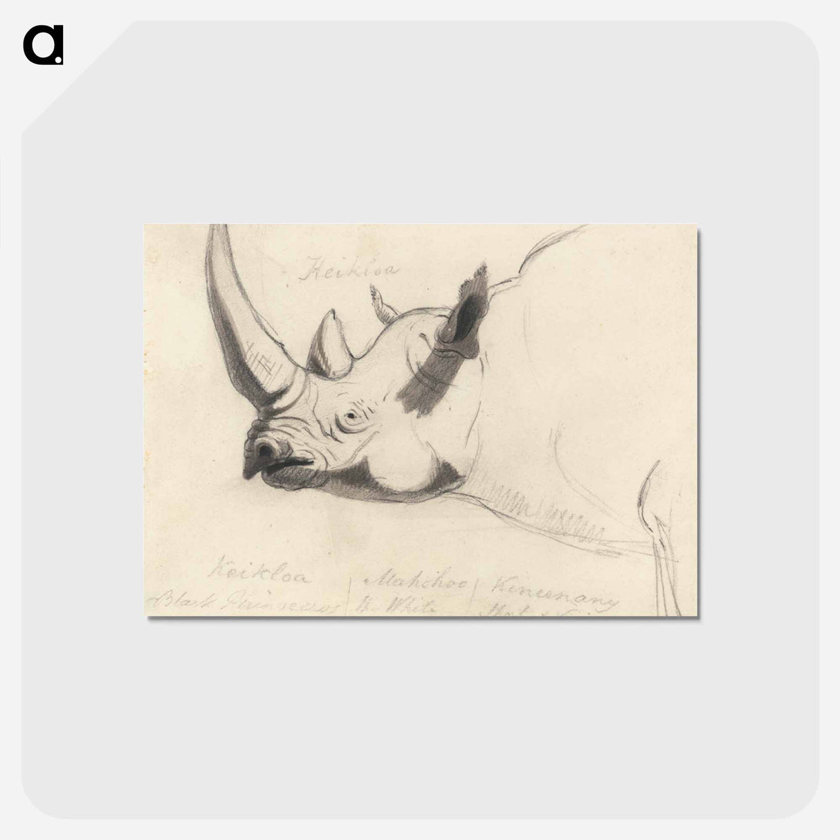 1-34_Yale-University-Art-Gallery_postcard
