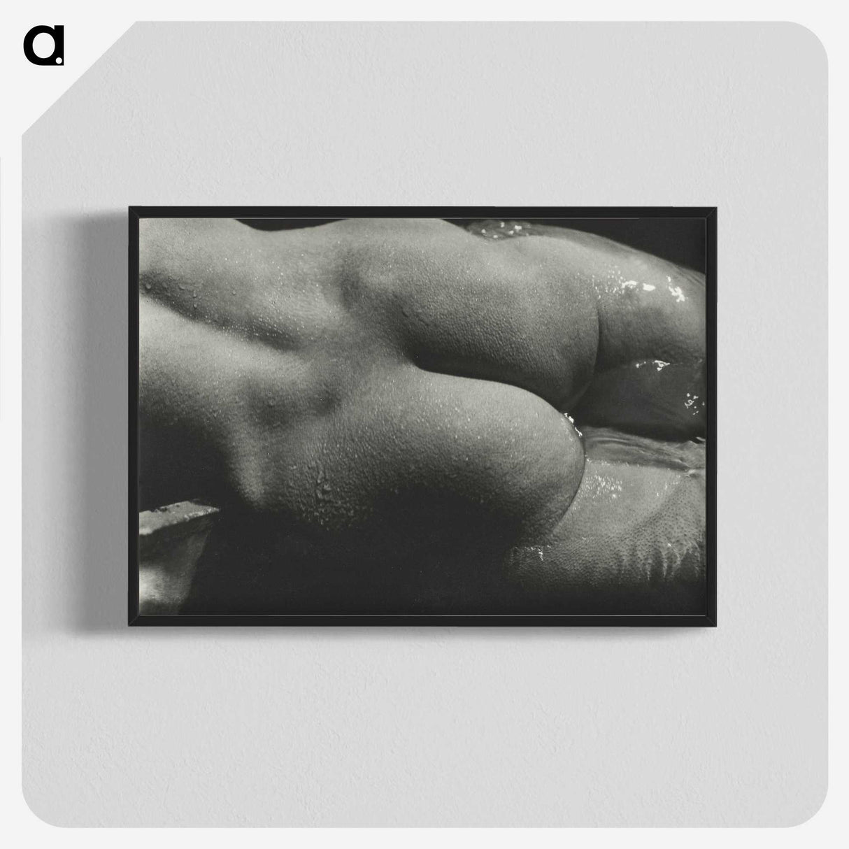 1-35_Alfred-Stieglitz_blk-crop