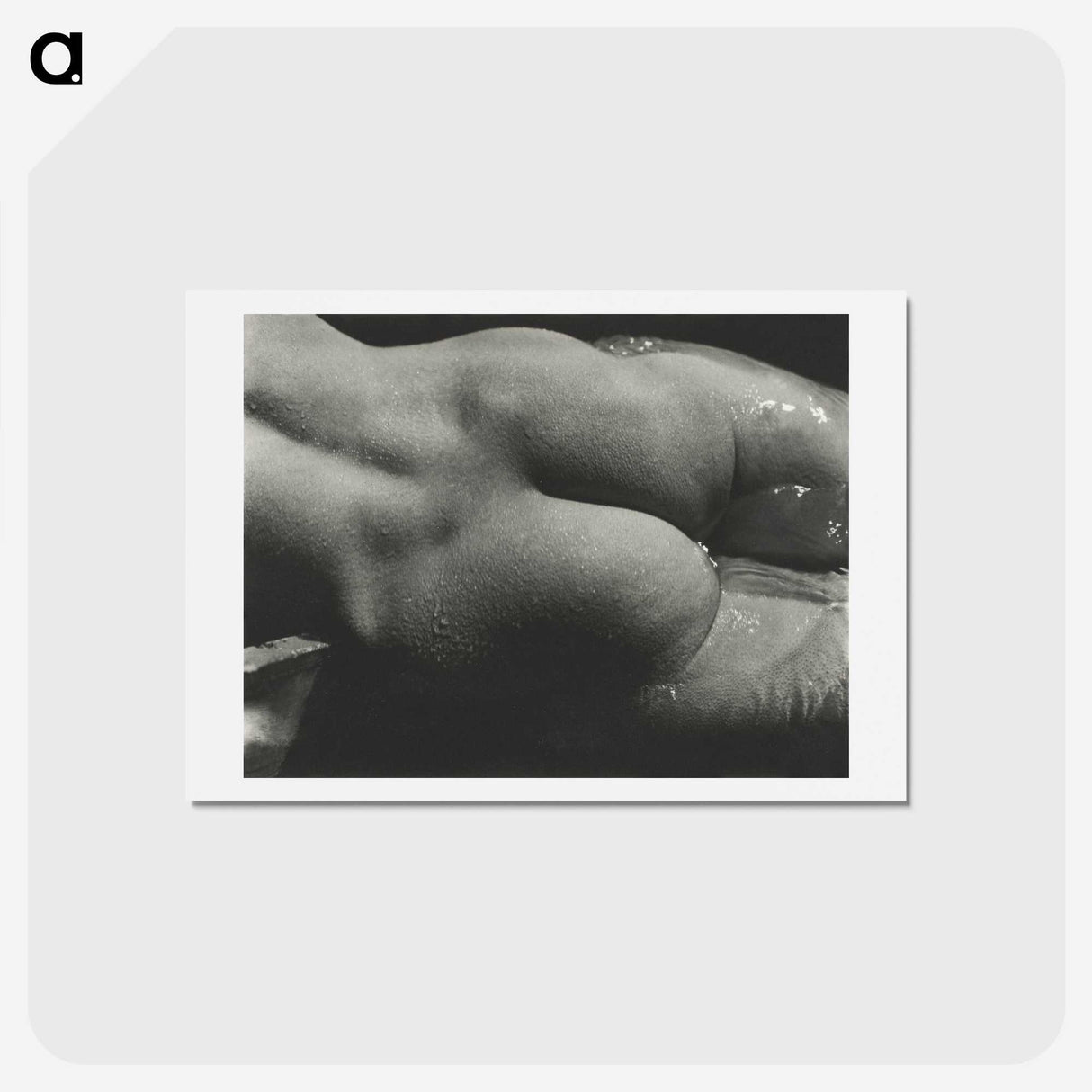 1-35_Alfred-Stieglitz_hagaki