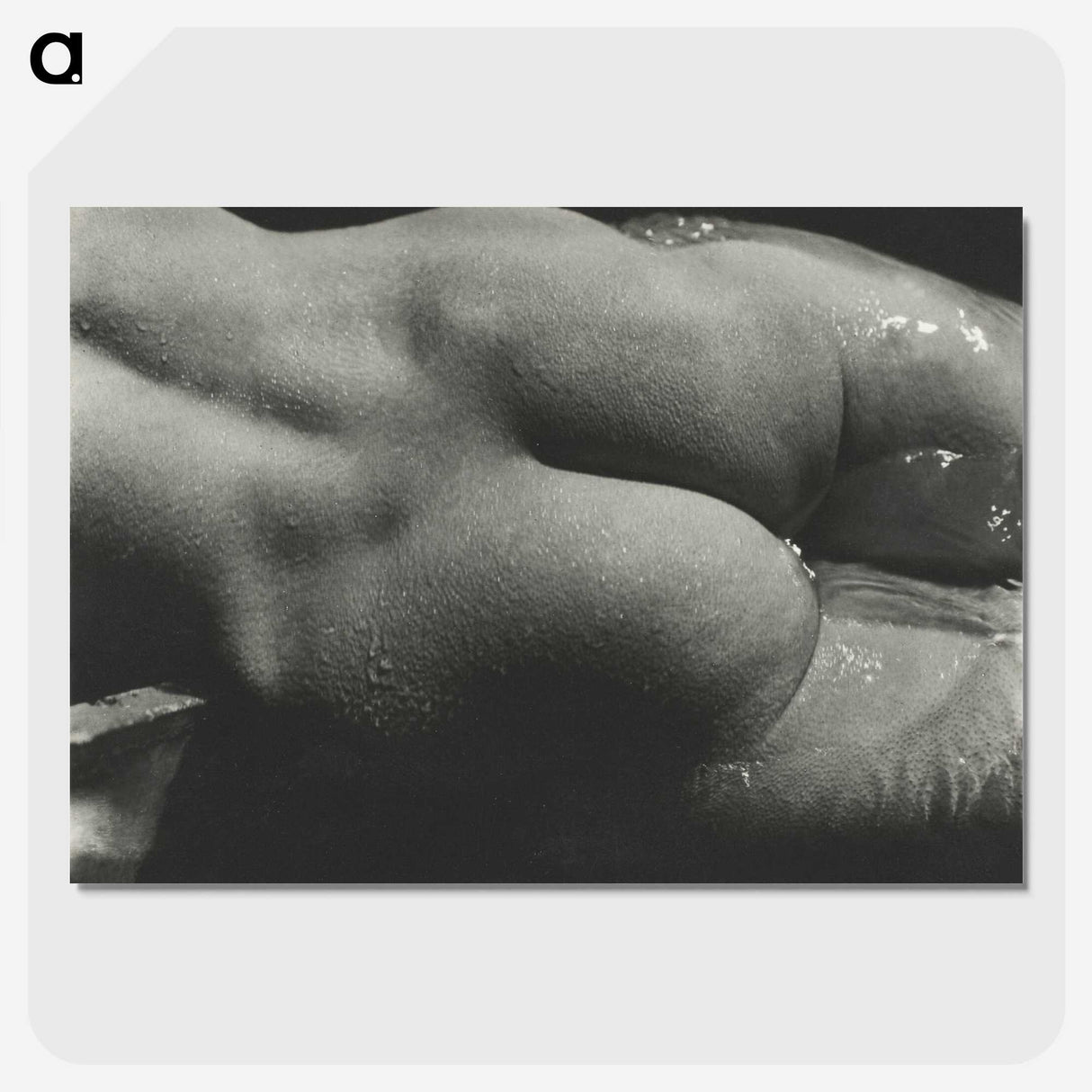 1-35_Alfred-Stieglitz_picture-crop