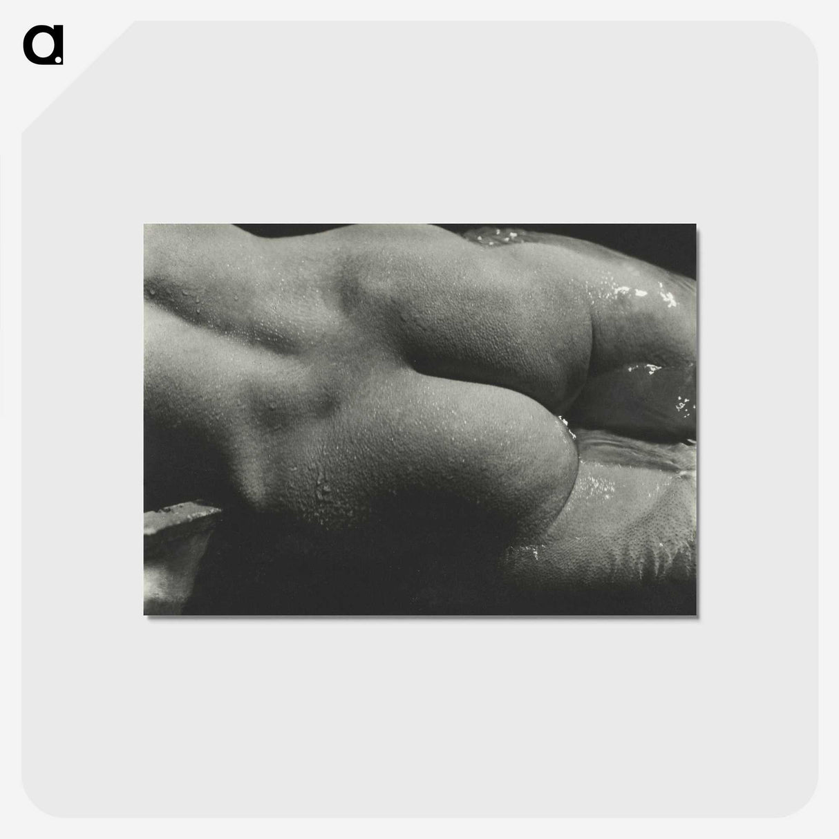 1-35_Alfred-Stieglitz_postcard