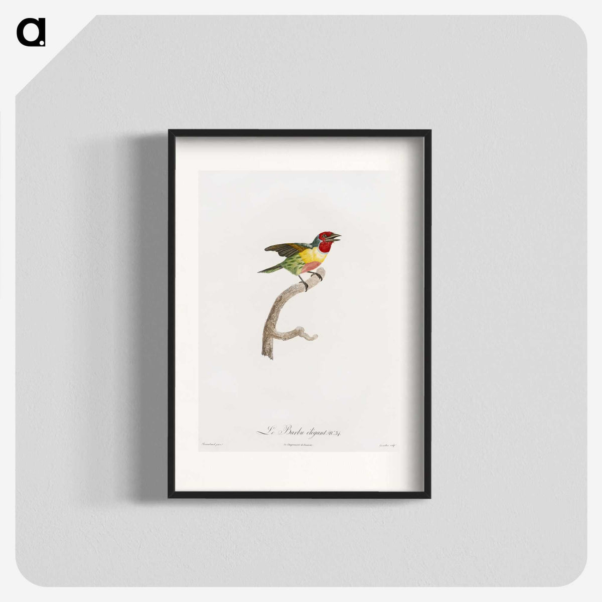 1-35_Des-Oiseaux-de-Paradis_blk
