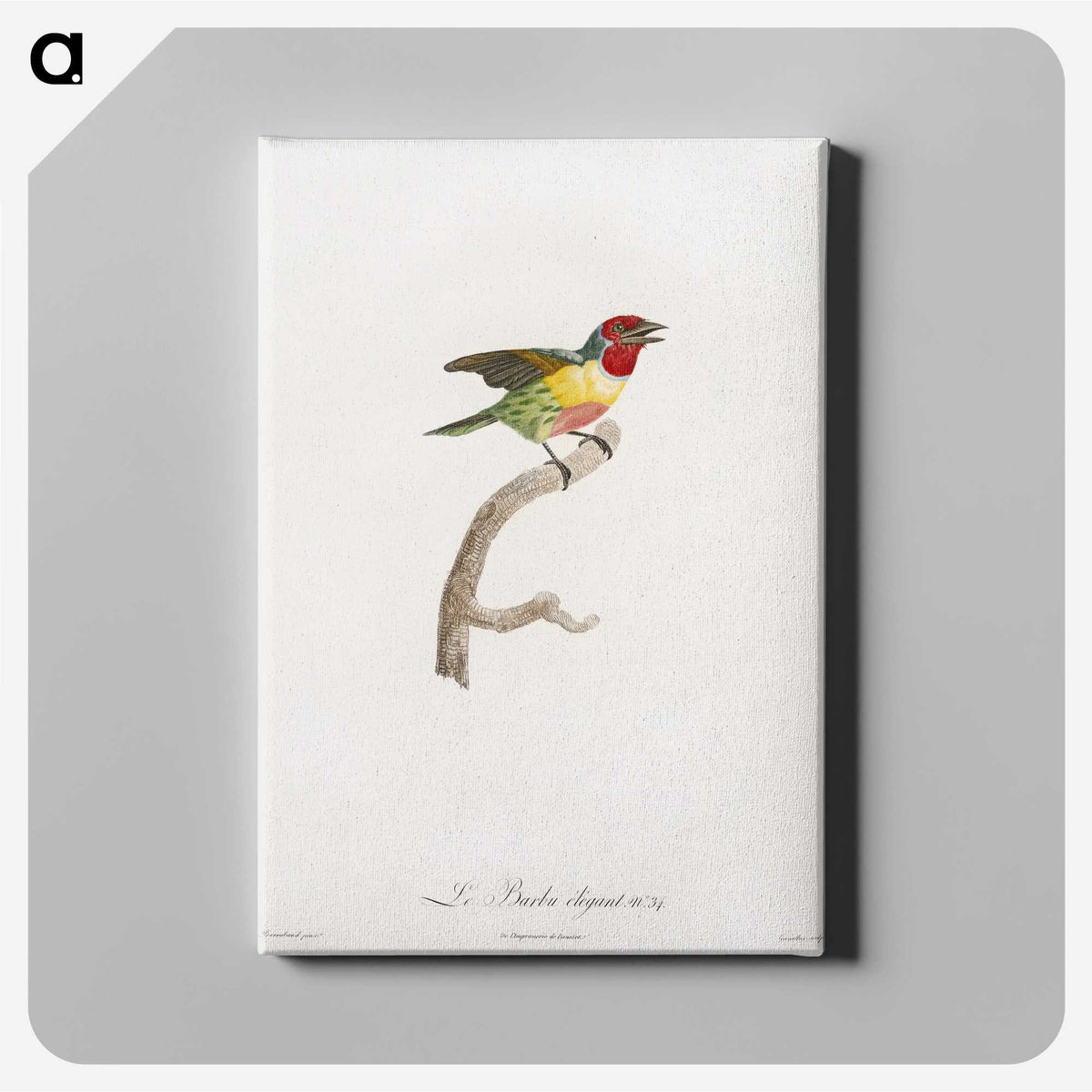 1-35_Des-Oiseaux-de-Paradis_canvas