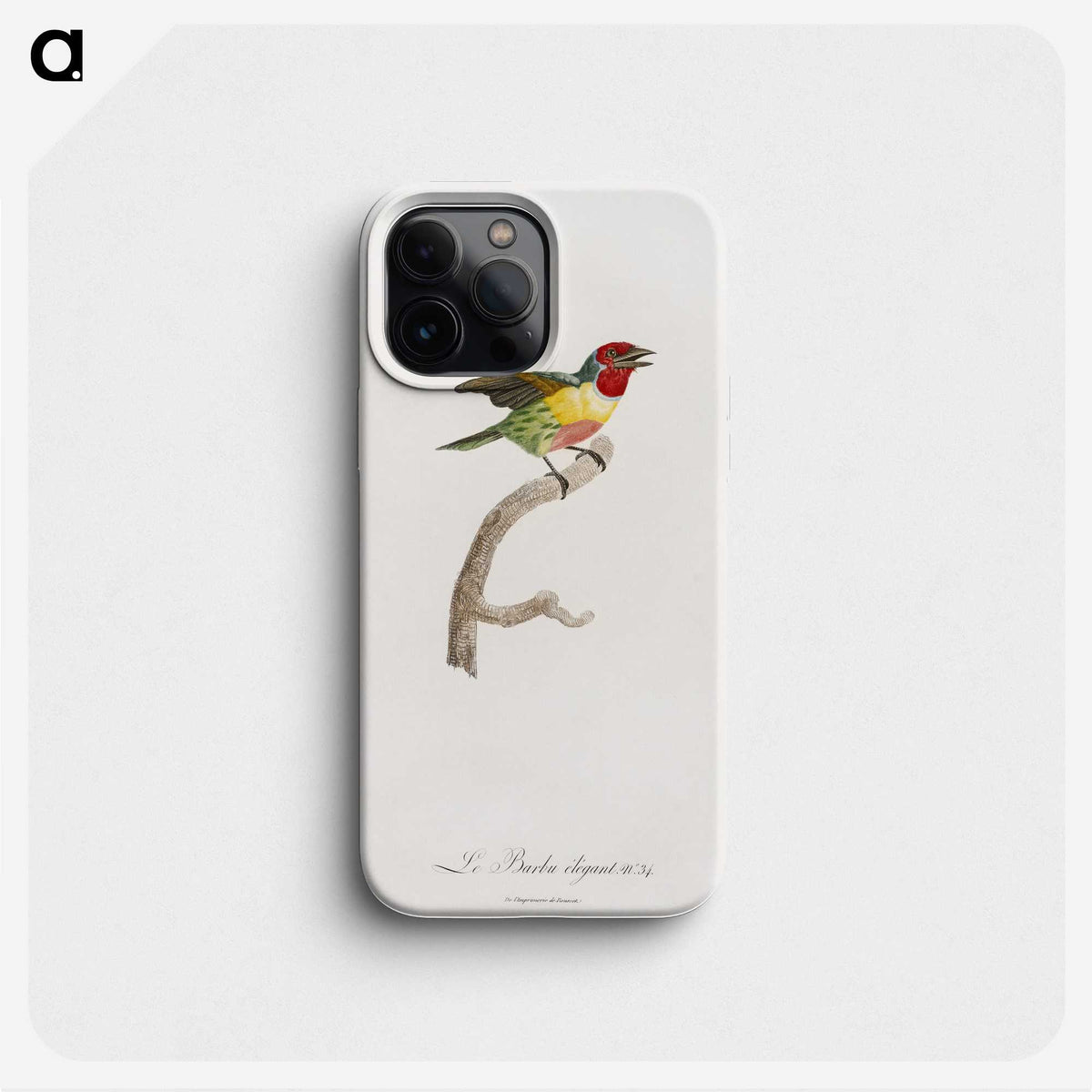 1-35_Des-Oiseaux-de-Paradis_phone