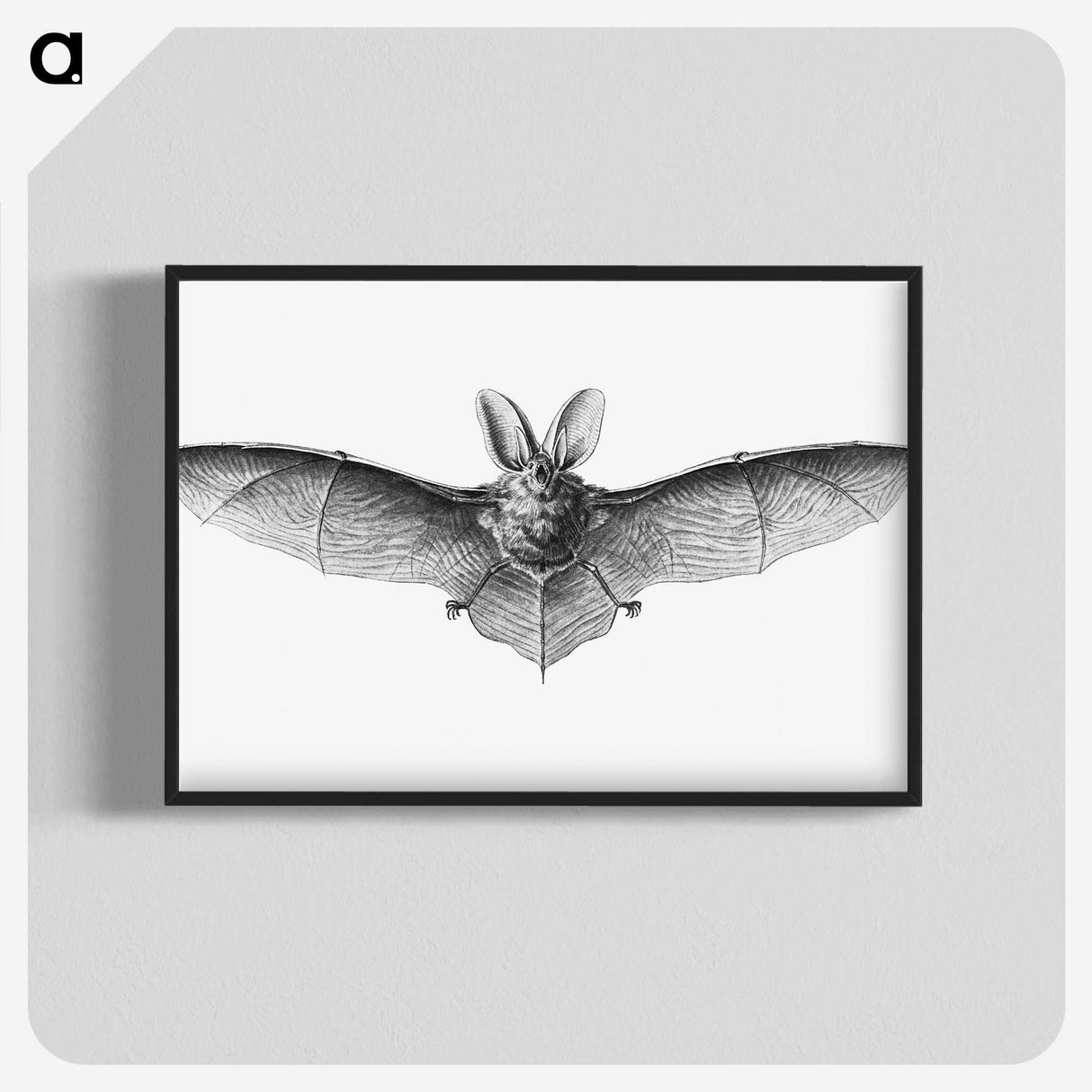 1-35_Ernst-Haeckel_blk-crop
