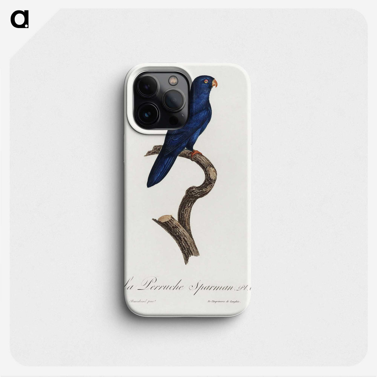 1-35_Francois-Levaillant_phone