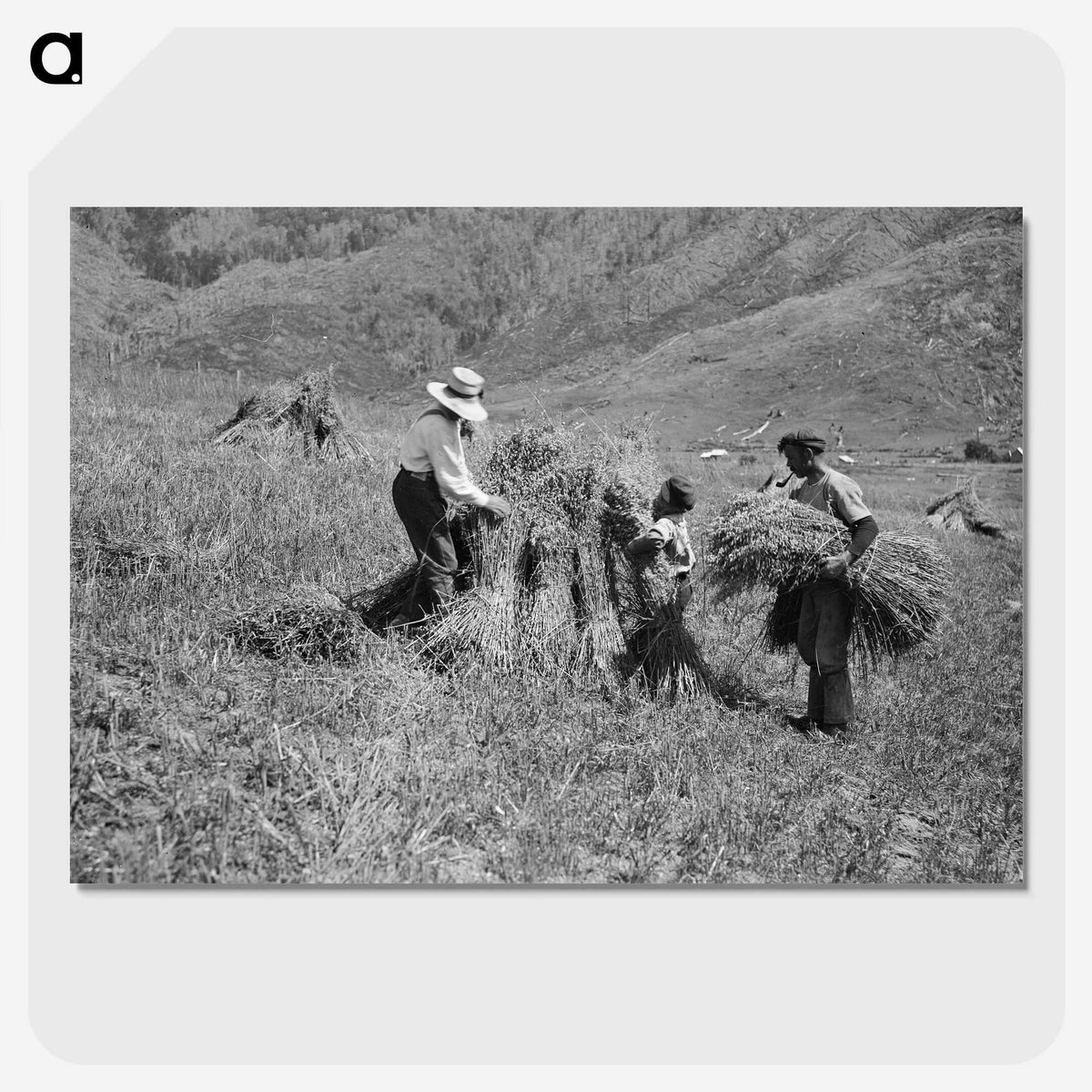1-35_Frederick-Charles-Brockett_picture-crop