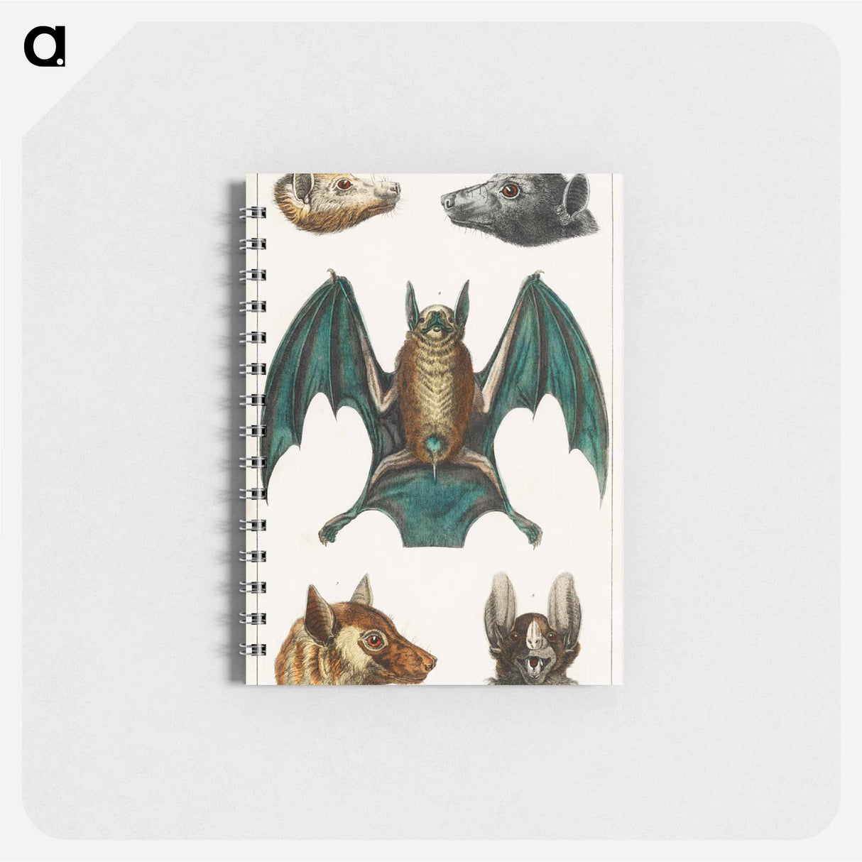 アートメモ帳-Bats from Goldsmith's Animated Nature
- ゴールドスミスの生き生きとした自然 Memo.