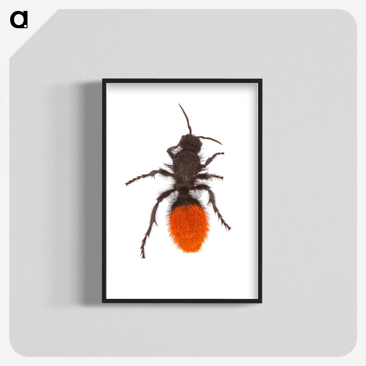 1-35_Insects-Unlocked-Project_blk-crop