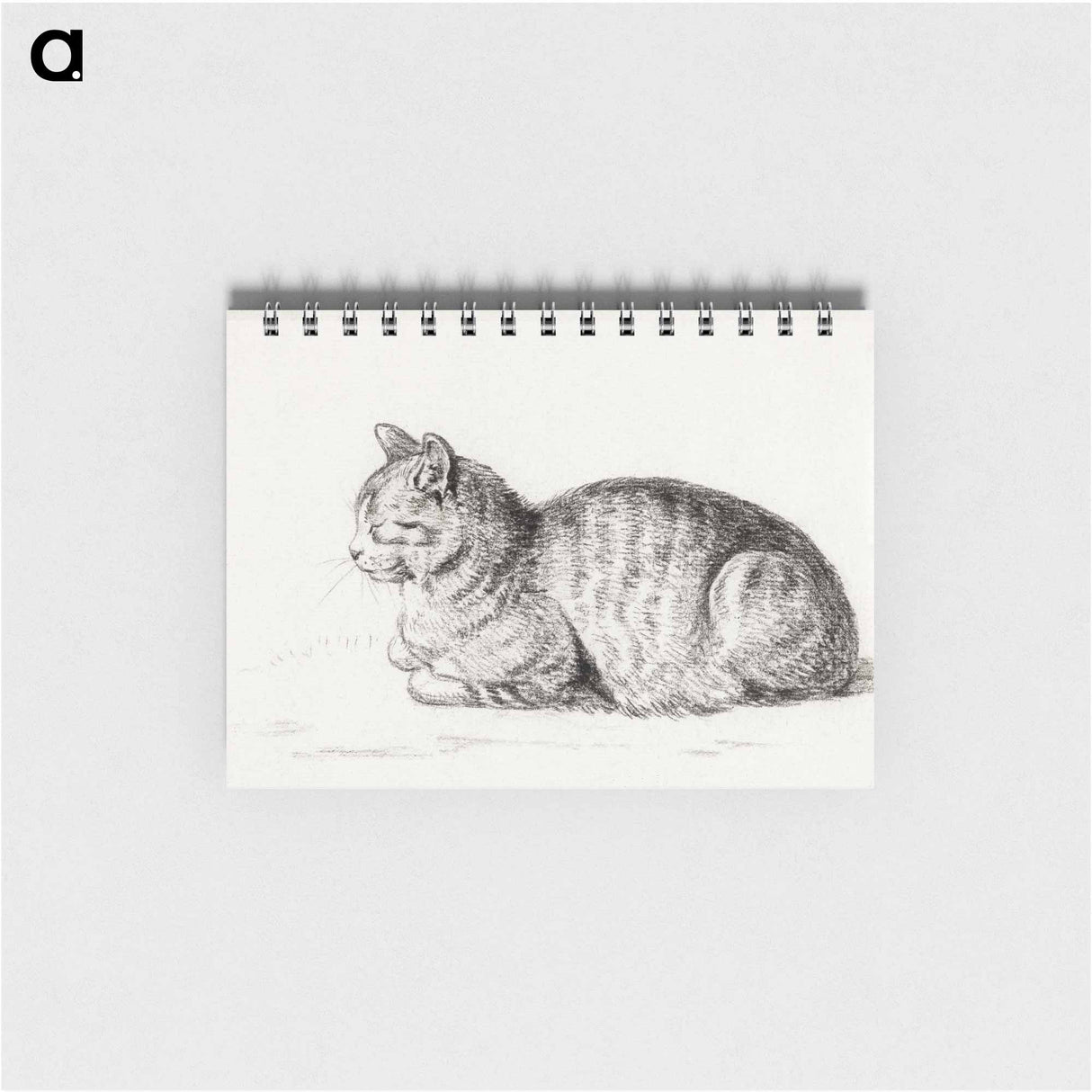 Lying cat - ジャン ベルナール Memo.