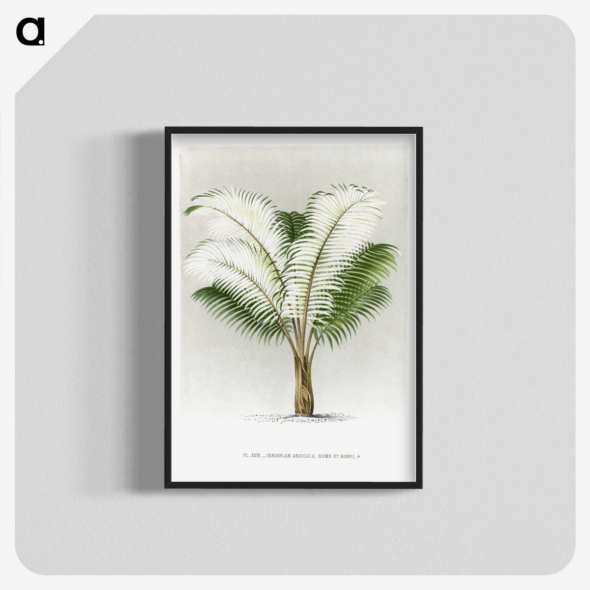 1-35_Les-Palmiers-Histoire-Iconographique_blk-crop