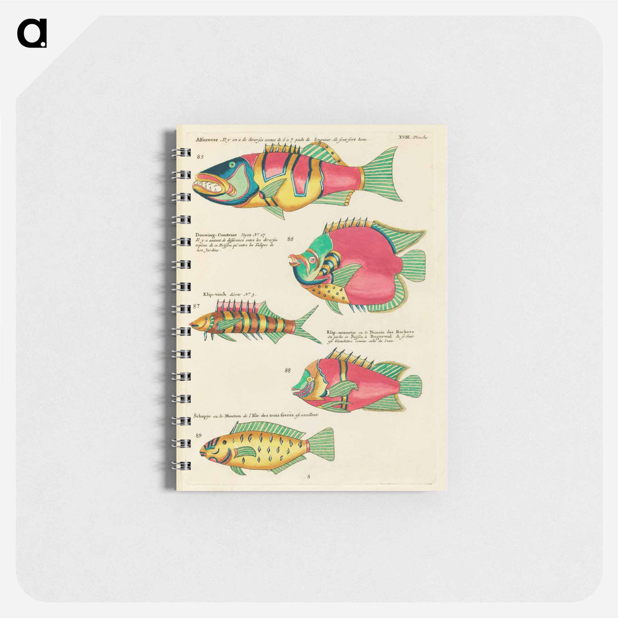 Moluccan Fishes
- ルイ ルナール Memo.