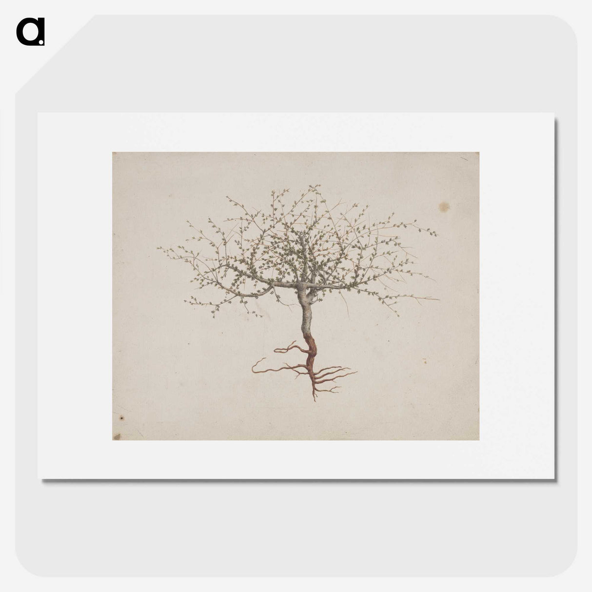 1-35_Luigi-Balugani_picture