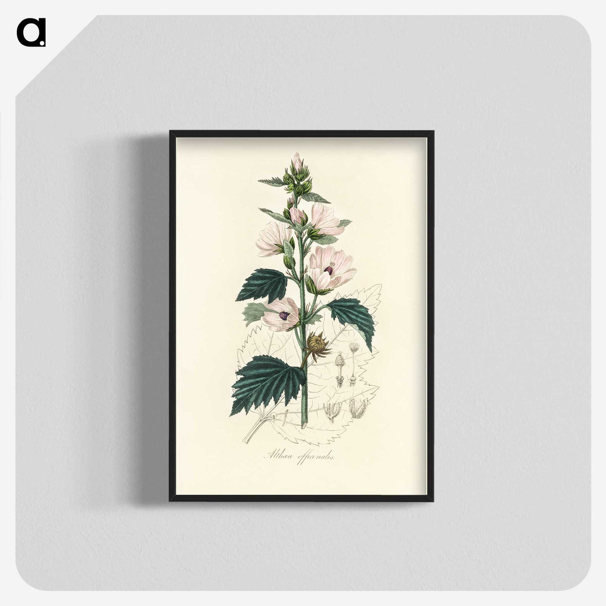 1-35_Medical-Botany_blk-crop