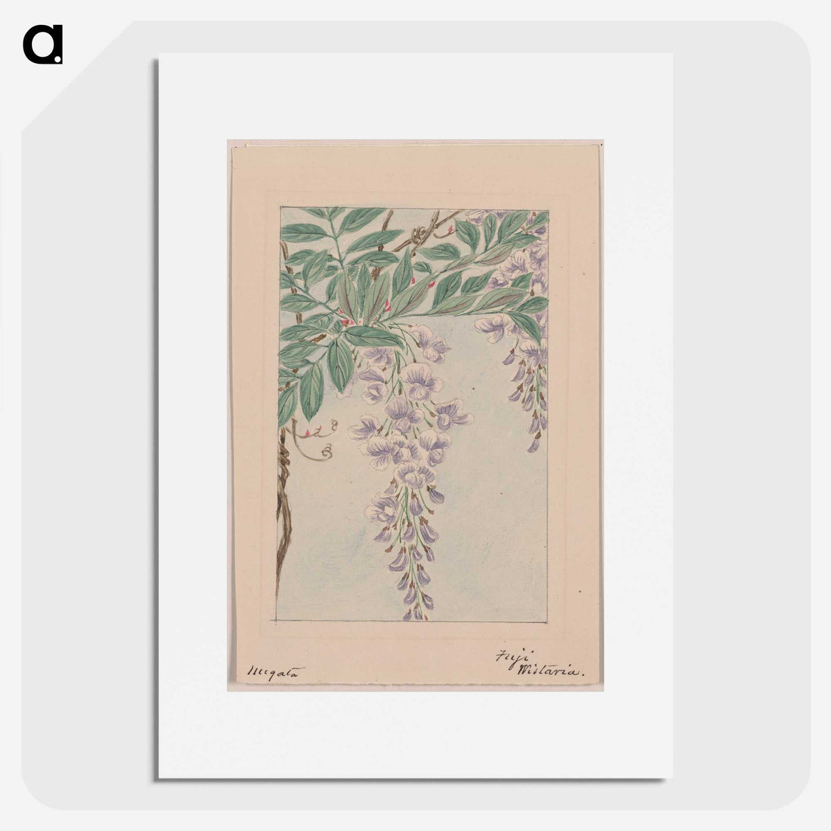 1-35_Megata-Morikaga_picture
