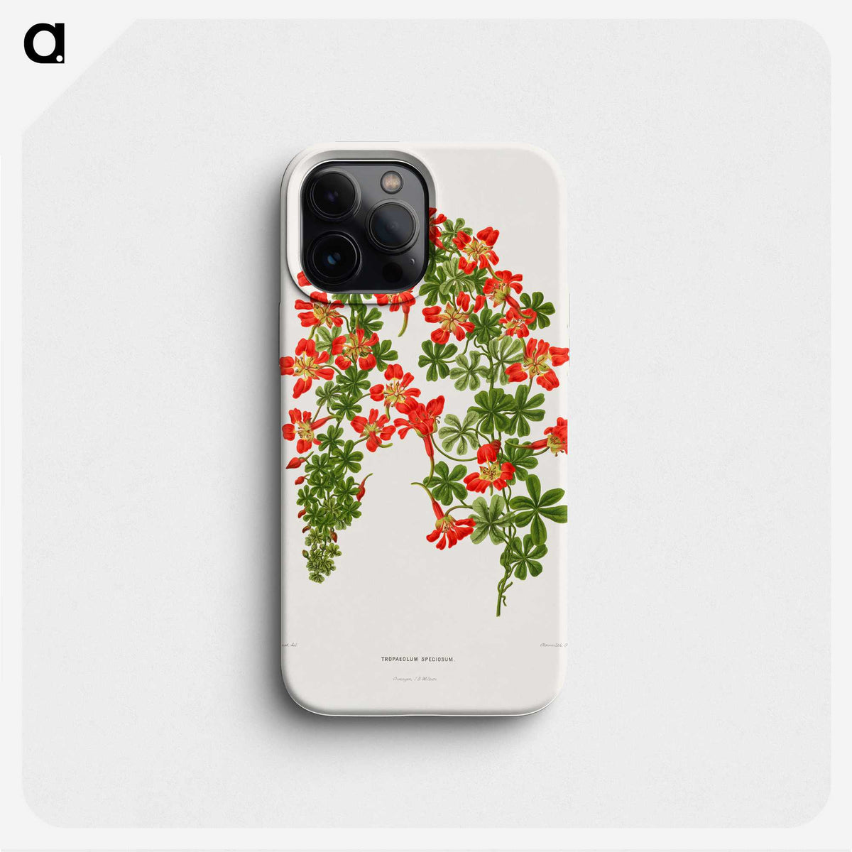 1-35_Nederlandsche-Flora-en-Pomona_phone